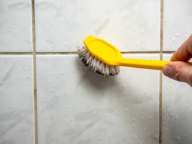 Best Fast Mold Removal  in Liberty City, TX