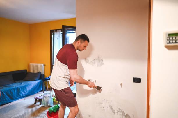  Liberty City, TX Mold Removal Pros